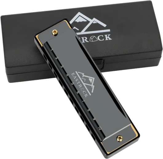 Harmonica Diatonique en Do - 20 Tones, 10 Trous pour Débutants et Étudiants - Avec Étui et Chiffon de Soin (Noir) 10 Trous Noir
