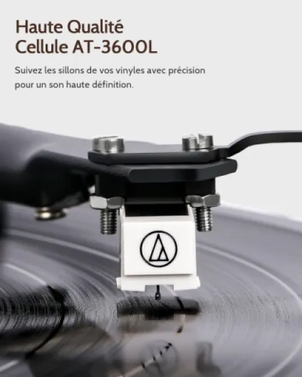 615gcVP1b5L._AC_SL1500_