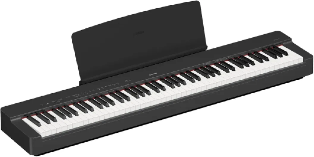 P-225 Piano numérique léger et portable avec clavier Graded-Hammer-Compact à 88 touches et 24 voix instrumentales, en noir Noir P225B Unique