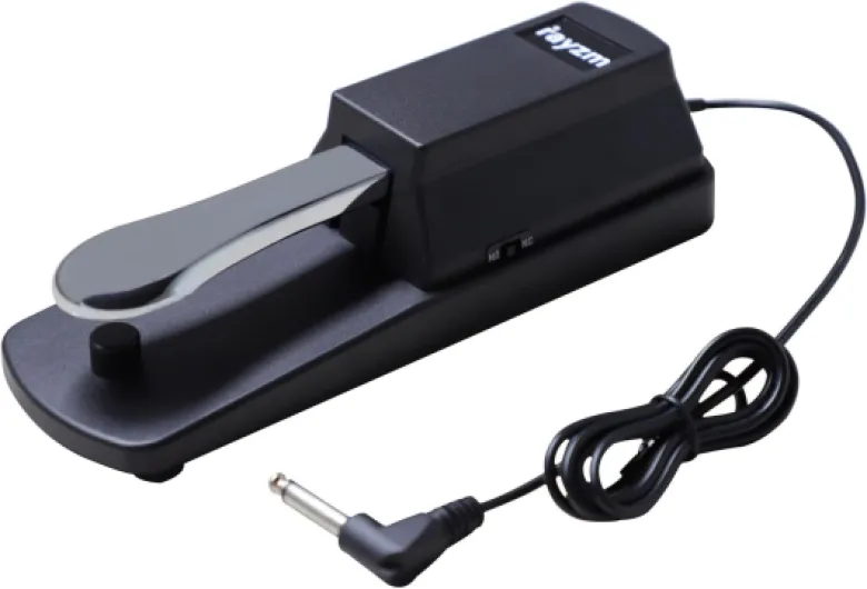 Rayzm Pédale de sustain universelle pour piano numérique et clavier électronique, Pédale antidérapante avec interrupteur de polarité, Câble de 1,4 m