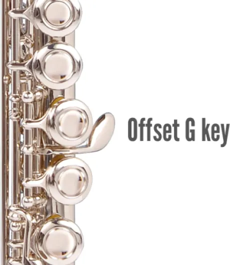 61rgfcxRJLL._AC_SL1500_