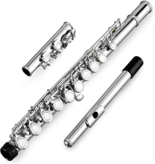 51XXPiXX65L._AC_SL1001_