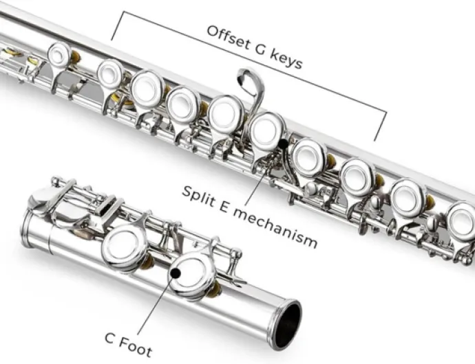 61ppbo2BveL._AC_SL1001_