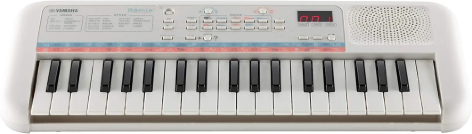 71ddJ9f9DcL._AC_SL1500_