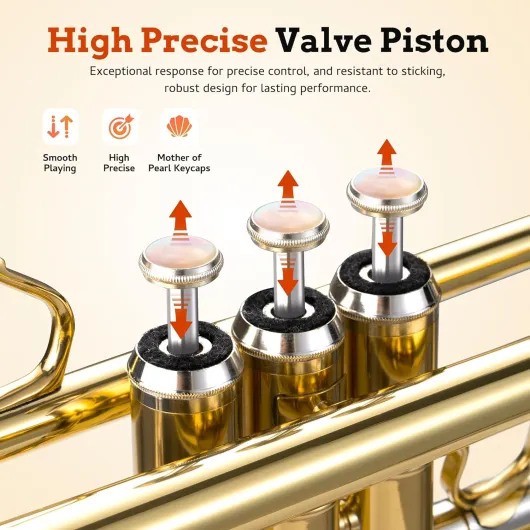 814Q5TTRJOL._AC_SL1500_