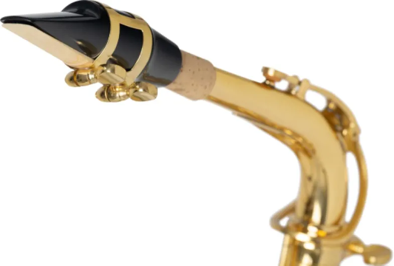 61KMwN9rDPL._AC_SL1500_