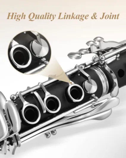 61S1eddO4lL._AC_SL1500_