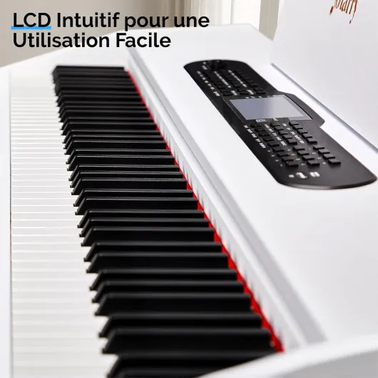 71UCT46P5GL._AC_SL1500_