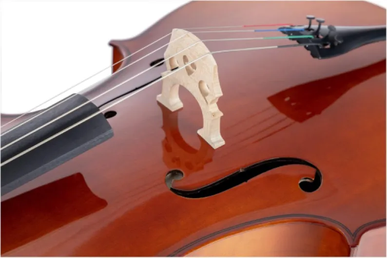 71K3RzpATeL._AC_SL1500_