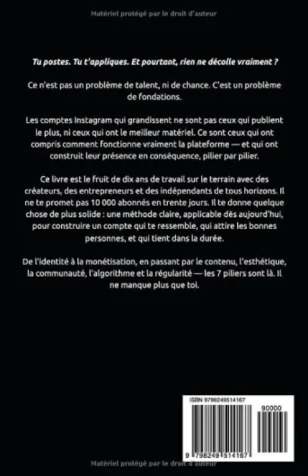 Instagram: Les 7 Piliers pour Développer un Compte Qui Attire - Livre sur Instagram - Le Guide Instagram pour les Nuls - Insta et les Réseaux Sociaux .. - comme un(e) Pro - Livre Instagrameuse