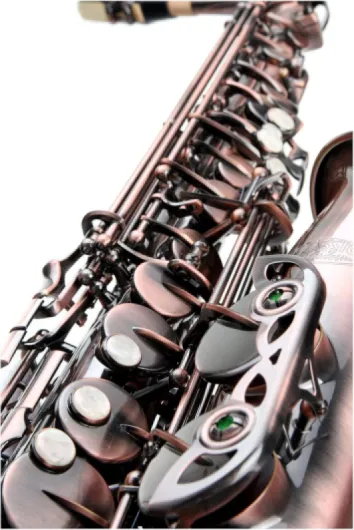 81z-VHCgYML._AC_SL1500_