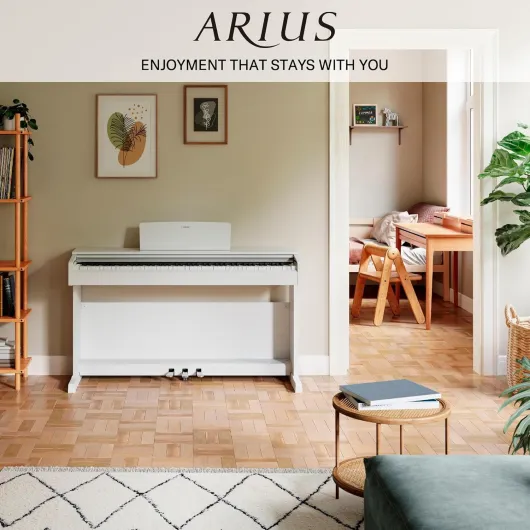 8156xR2BoBL._AC_SL1500_