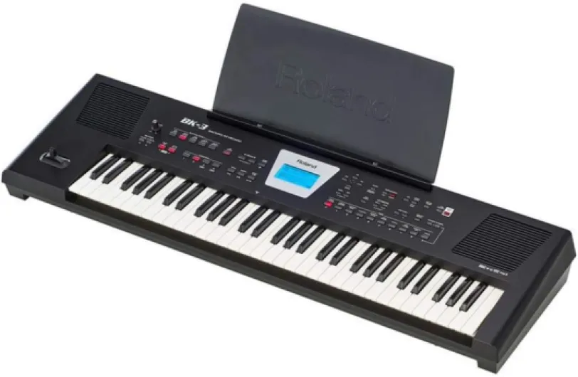 51CGYkgHMsL._AC_SL1000_