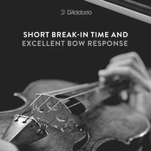 71wj5eg-FQL._AC_SL1500_