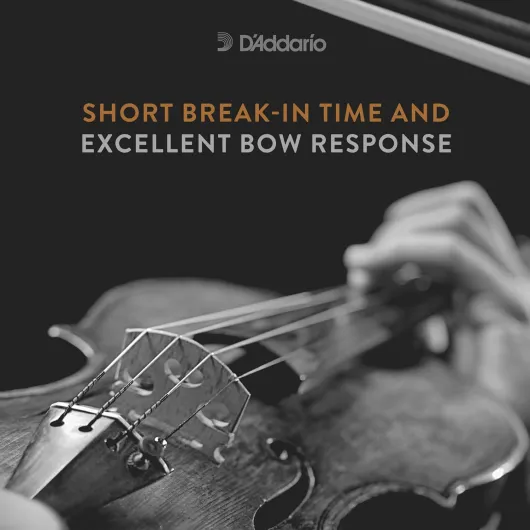 71wSHBstBIL._AC_SL1500_