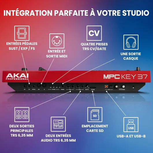 81l-OGqmV3L._AC_SL1500_