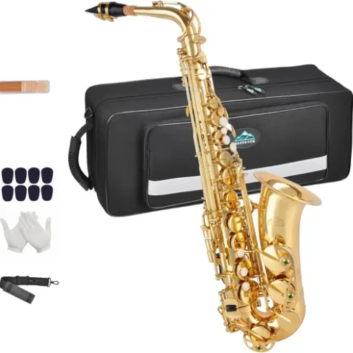 Test EASTROCK Saxophone Alto Débutant : un sax pas cher qui fait le job pour se lancer