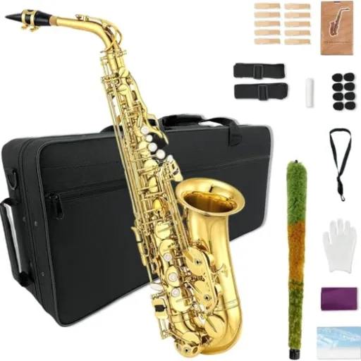 Test WUQIMUSC Saxophone alto : un sax pas de marque connue, mais qui fait le job pour débuter