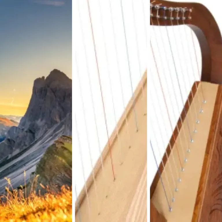 Les meilleurs harpe : notre top 6 (2026)