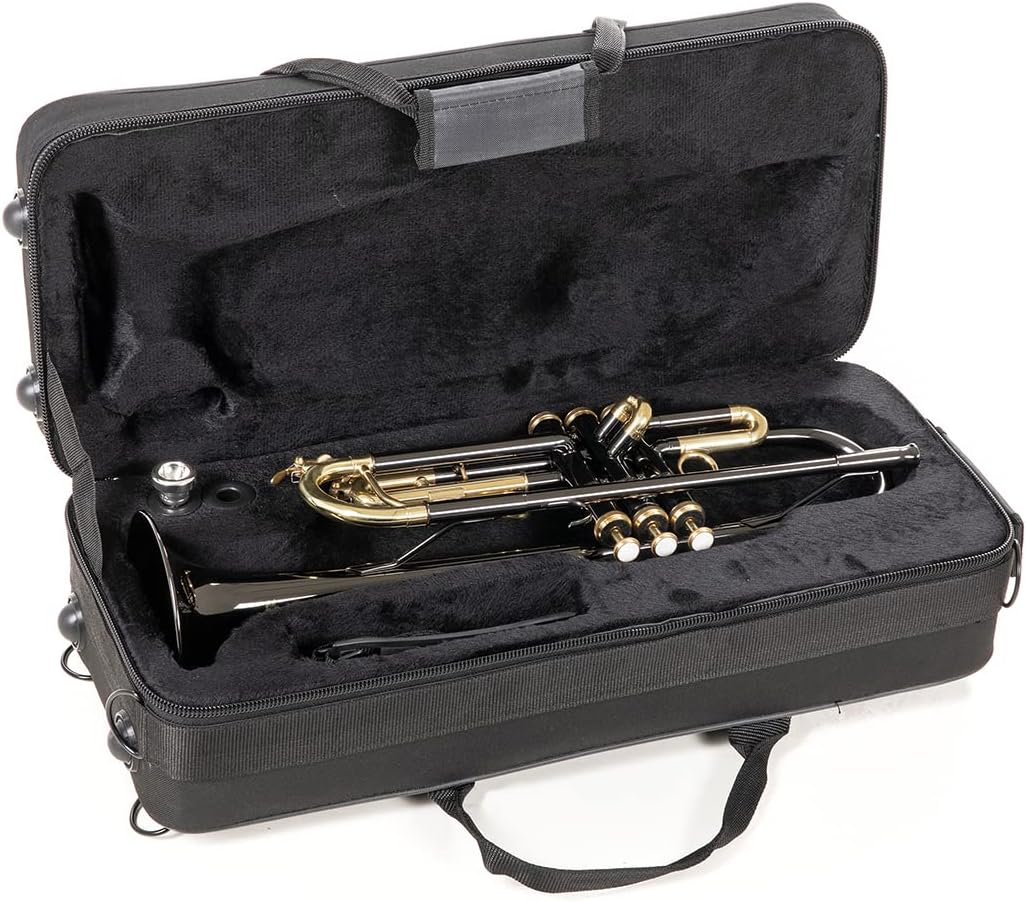 Roy Benson TR-101K Trompette Sib anthracite